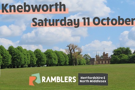 Knebworth Poster